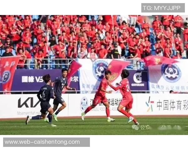 江苏盐城足球队最新阵容及球员详细介绍与分析